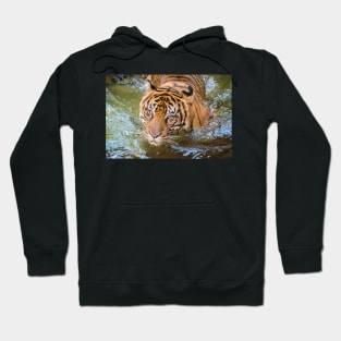 Tiger playing in some water Hoodie